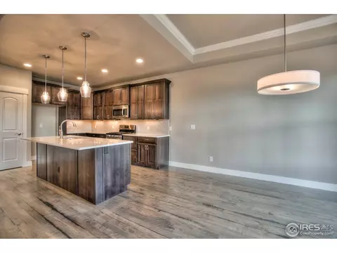 1539 Sandy Ln, Windsor, CO 80550 photo 16