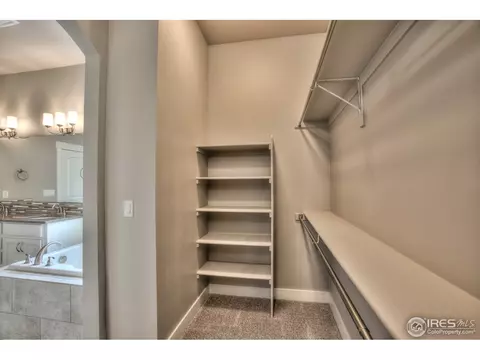 1539 Sandy Ln, Windsor, CO 80550 photo 29
