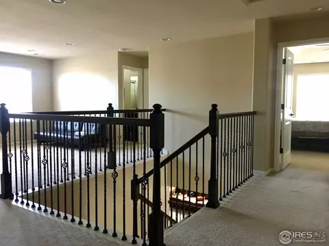 1566 E 166th Pl, Thornton, CO 80602 photo 14