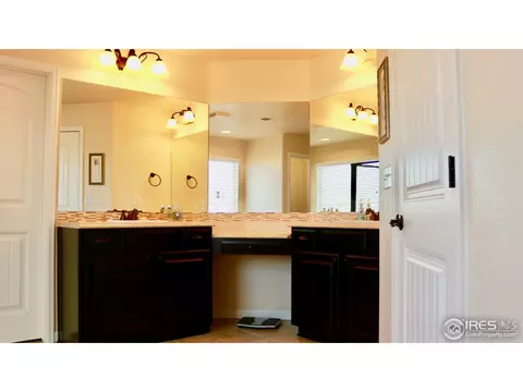 1566 E 166th Pl, Thornton, CO 80602 photo 18