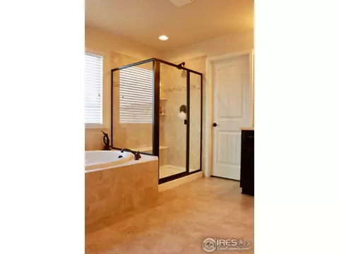 1566 E 166th Pl, Thornton, CO 80602 photo 19
