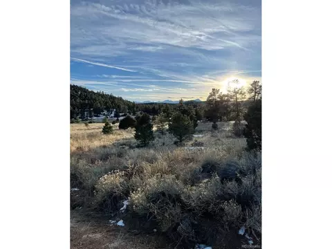 324 Laramie Loop, Cotopaxi, CO 81223