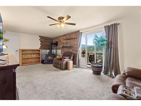 Other - 60 S Circle Dr, Bailey, CO 80421 photo 4 of 13