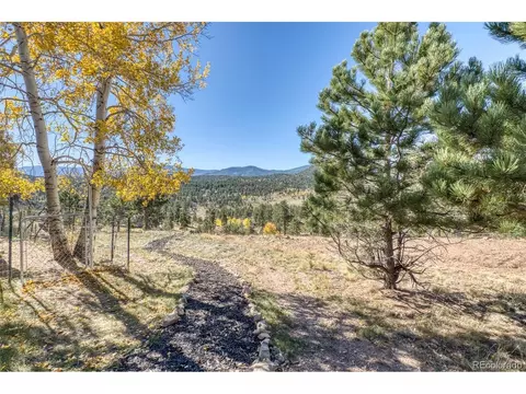 Exterior - 60 S Circle Dr, Bailey, CO 80421 photo 3 of 4