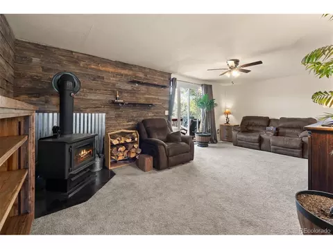 Living - 60 S Circle Dr, Bailey, CO 80421 photo 1 of 4
