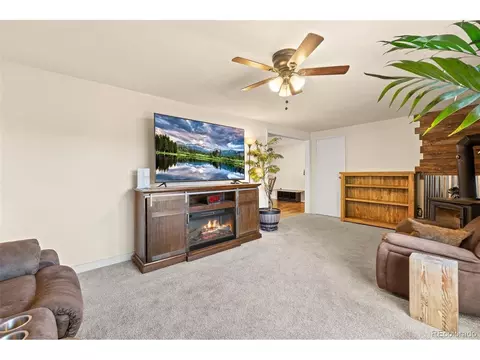 Living - 60 S Circle Dr, Bailey, CO 80421 photo 4 of 4