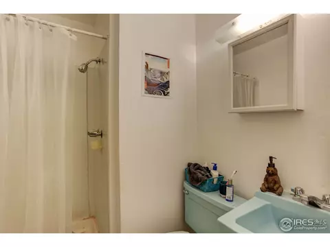 1839 Mariposa Ave, Boulder, CO 80302 photo 9