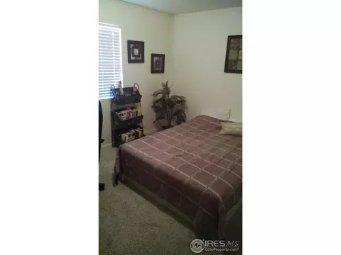 2506 Quay St, Evans, CO 80620 photo 14