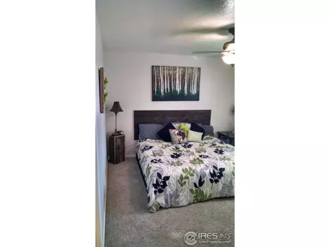 2506 Quay St, Evans, CO 80620 photo 12