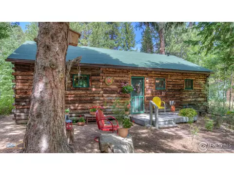 3141 Riverside Dr, Lyons, CO 80540 photo 6