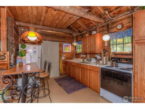 3141 Riverside Dr, Lyons, CO 80540 photo 7