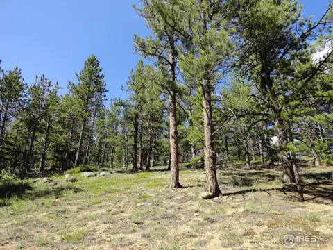59 Bigbee Rd, Ward, CO 80481 photo 8