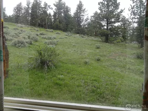 59 Bigbee Rd, Ward, CO 80481 photo 20