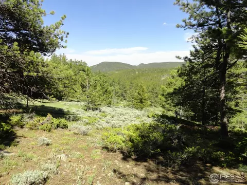 59 Bigbee Rd, Ward, CO 80481 photo 1
