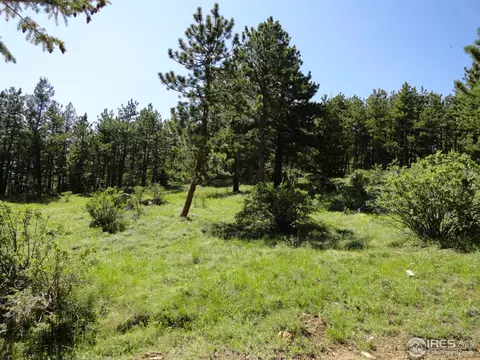 59 Bigbee Rd, Ward, CO 80481 photo 4