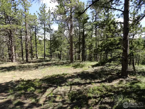 59 Bigbee Rd, Ward, CO 80481 photo 18