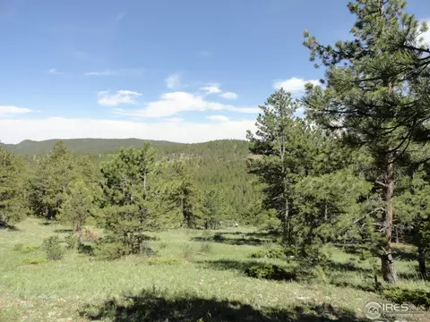 59 Bigbee Rd, Ward, CO 80481 photo 12