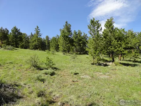 59 Bigbee Rd, Ward, CO 80481 photo 6