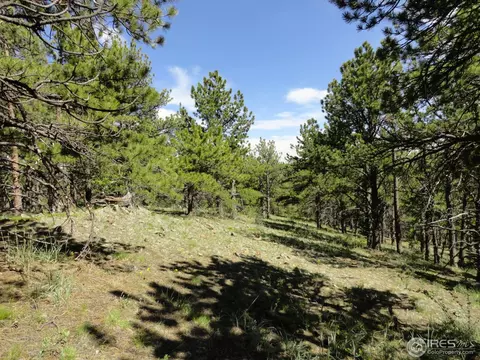 59 Bigbee Rd, Ward, CO 80481 photo 21