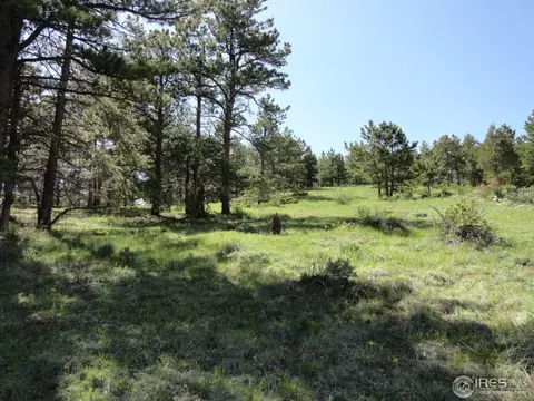 59 Bigbee Rd, Ward, CO 80481 photo 16