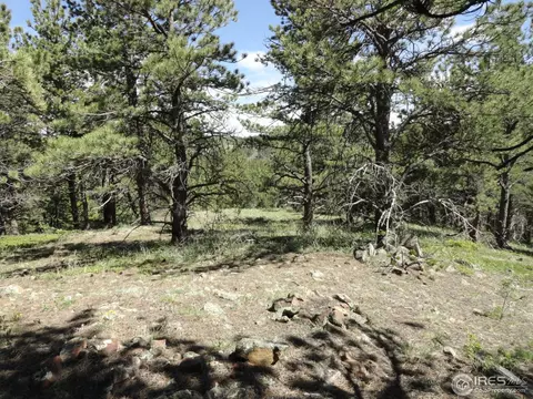 59 Bigbee Rd, Ward, CO 80481 photo 17