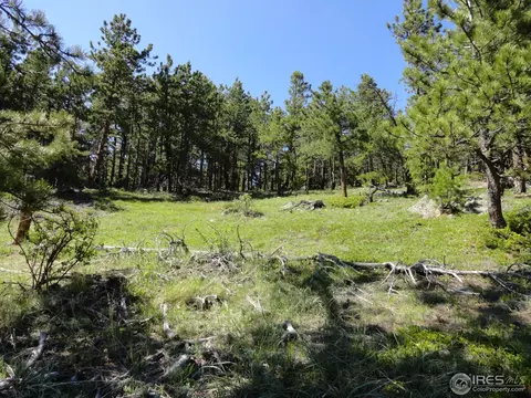 59 Bigbee Rd, Ward, CO 80481 photo 9