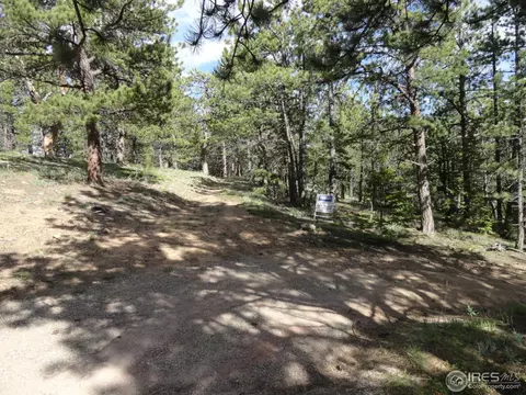 59 Bigbee Rd, Ward, CO 80481 photo 24