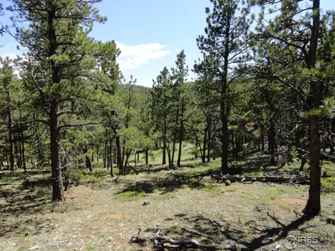 59 Bigbee Rd, Ward, CO 80481 photo 5