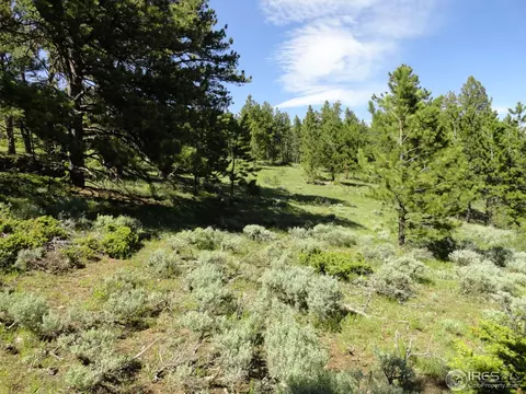 59 Bigbee Rd, Ward, CO 80481 photo 14