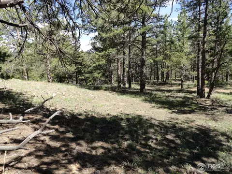 59 Bigbee Rd, Ward, CO 80481 photo 22