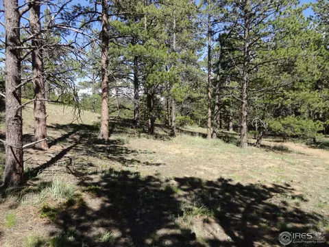 59 Bigbee Rd, Ward, CO 80481 photo 13