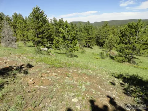 59 Bigbee Rd, Ward, CO 80481 photo 15