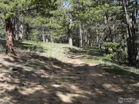 59 Bigbee Rd, Ward, CO 80481 photo 7