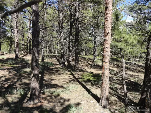 59 Bigbee Rd, Ward, CO 80481 photo 23
