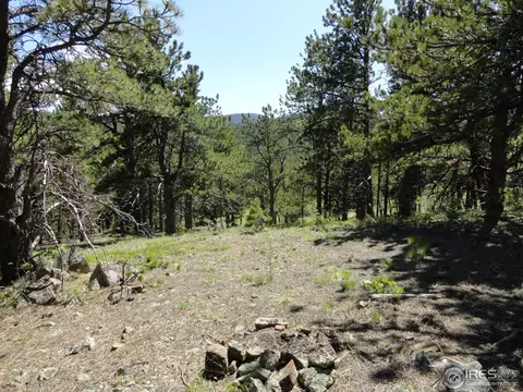 59 Bigbee Rd, Ward, CO 80481 photo 10