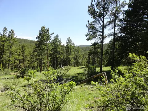 59 Bigbee Rd, Ward, CO 80481 photo 3