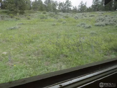 59 Bigbee Rd, Ward, CO 80481 photo 19
