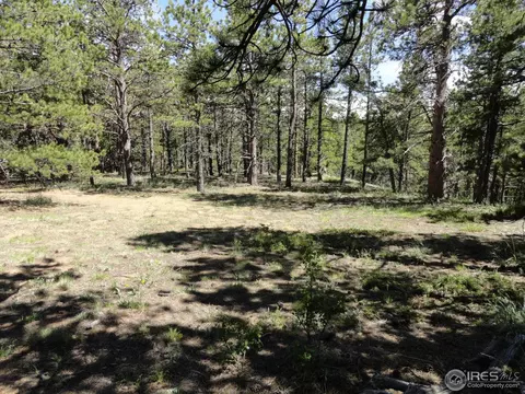 59 Bigbee Rd, Ward, CO 80481 photo 2