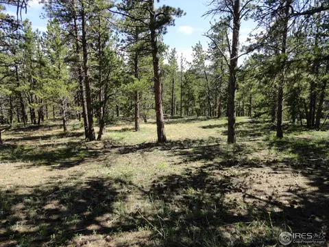 59 Bigbee Rd, Ward, CO 80481 photo 11