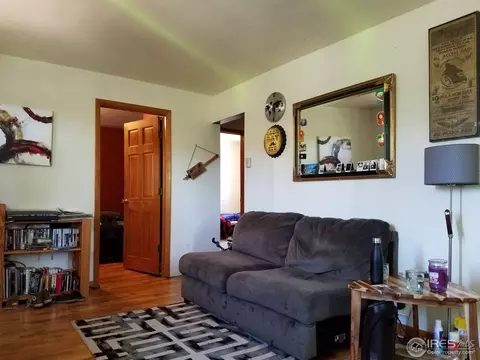 540 Meilly St, Lyons, CO 80540 photo 5