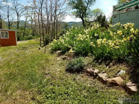 540 Meilly St, Lyons, CO 80540 photo 13