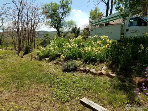 540 Meilly St, Lyons, CO 80540 photo 12