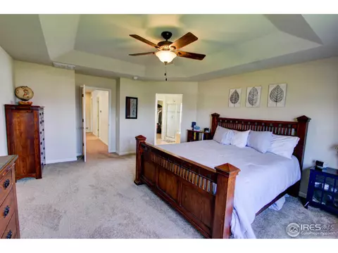 6736 Flintlock Rd, Timnath, CO 80547 photo 16