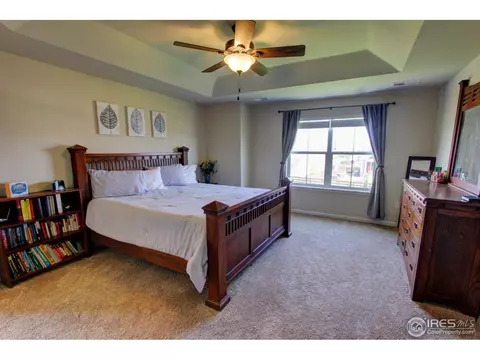 6736 Flintlock Rd, Timnath, CO 80547 photo 15