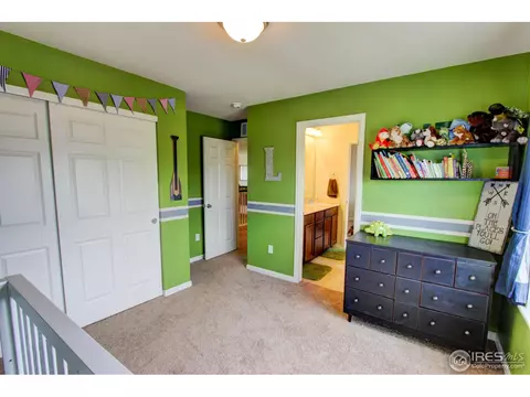 6736 Flintlock Rd, Timnath, CO 80547 photo 22