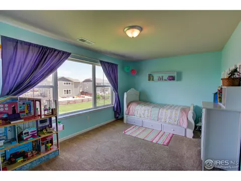 6736 Flintlock Rd, Timnath, CO 80547 photo 19