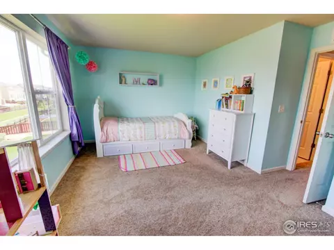 6736 Flintlock Rd, Timnath, CO 80547 photo 20
