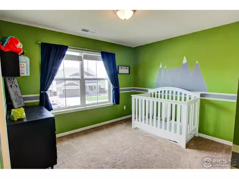 6736 Flintlock Rd, Timnath, CO 80547 photo 21