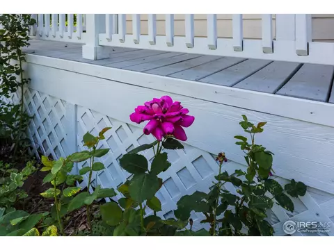 5264 E 130th Way, Thornton, CO 80241 photo 5