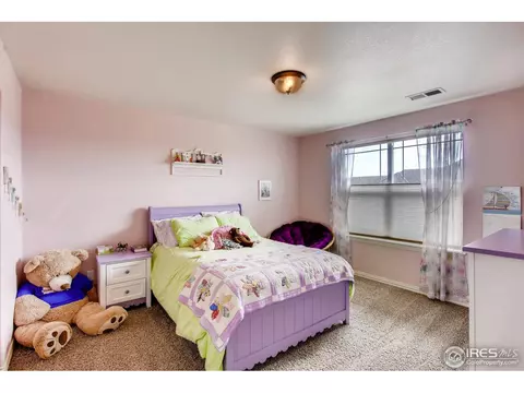 1883 Seadrift Dr, Windsor, CO 80550 photo 28